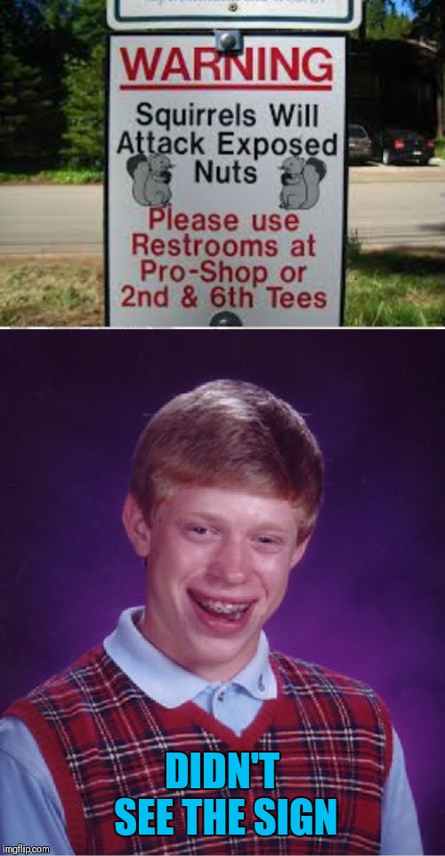 Unlucky family jewels | DIDN'T SEE THE SIGN | image tagged in memes,bad luck brian,nuts,squirrel nuts | made w/ Imgflip meme maker