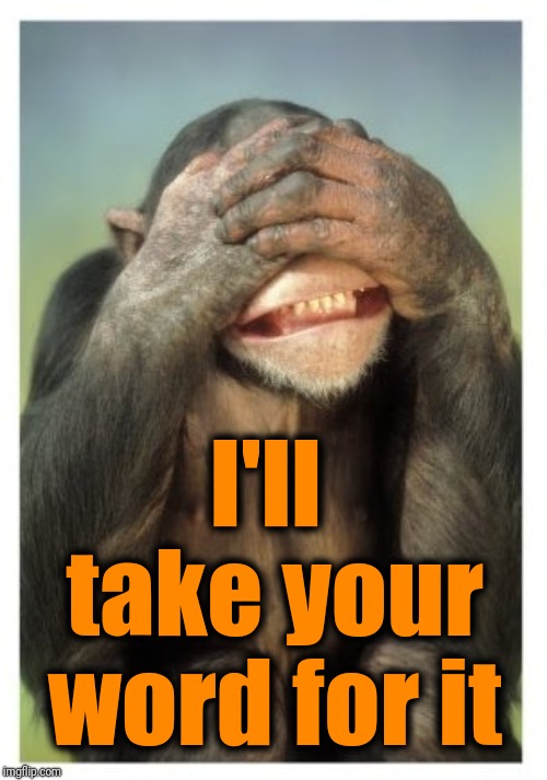 Monkey covers eyes | I'll take your word for it | image tagged in monkey covers eyes | made w/ Imgflip meme maker