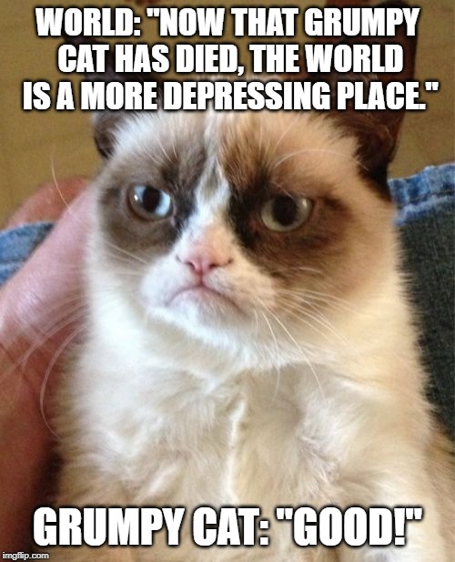 Grumpy Cat | WORLD: "NOW THAT GRUMPY CAT HAS DIED, THE WORLD IS A MORE DEPRESSING PLACE."; GRUMPY CAT: "GOOD!" | image tagged in memes,grumpy cat | made w/ Imgflip meme maker