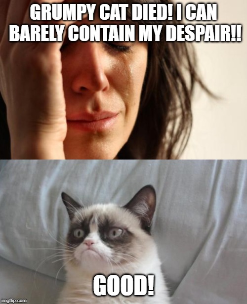 crying with grumpy cat | GRUMPY CAT DIED!
I CAN BARELY CONTAIN MY DESPAIR!! GOOD! | image tagged in crying with grumpy cat | made w/ Imgflip meme maker