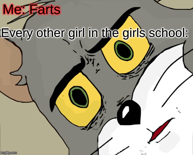 Unsettled Tom Meme | Me: Farts; Every other girl in the girls school: | image tagged in memes,unsettled tom | made w/ Imgflip meme maker