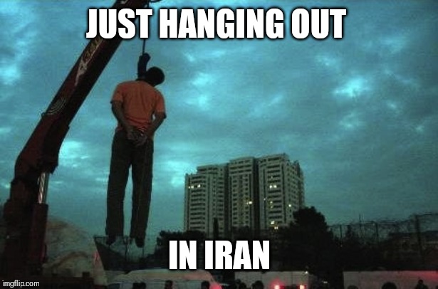 Iran Crane Hanging | JUST HANGING OUT; IN IRAN | image tagged in iran crane hanging | made w/ Imgflip meme maker