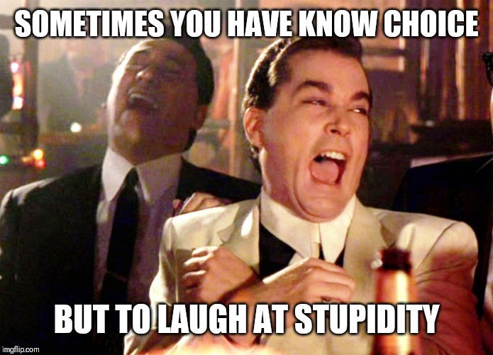 Jroc113 | SOMETIMES YOU HAVE KNOW CHOICE; BUT TO LAUGH AT STUPIDITY | image tagged in good fellas hilarious | made w/ Imgflip meme maker