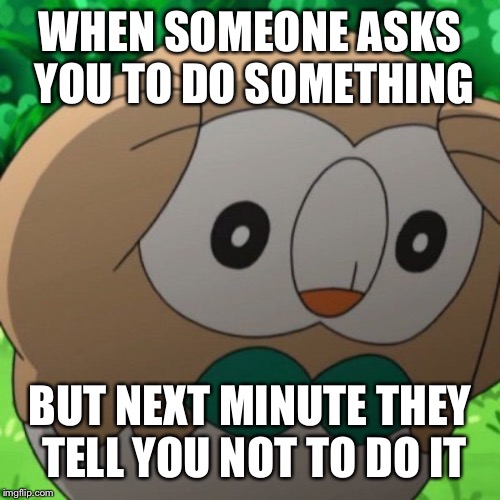 I am confuused | WHEN SOMEONE ASKS YOU TO DO SOMETHING; BUT NEXT MINUTE THEY TELL YOU NOT TO DO IT | image tagged in rowlet meme template | made w/ Imgflip meme maker