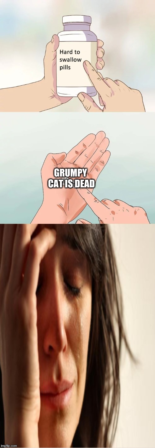 ;( | GRUMPY CAT IS DEAD | image tagged in memes,hard to swallow pills | made w/ Imgflip meme maker