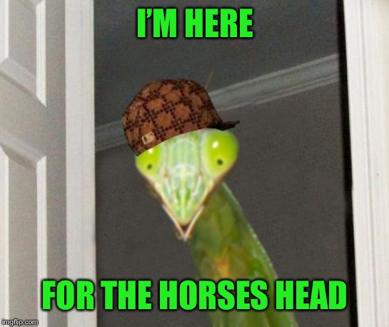 Scumbag Mantis | I’M HERE FOR THE HORSES HEAD | image tagged in scumbag mantis | made w/ Imgflip meme maker