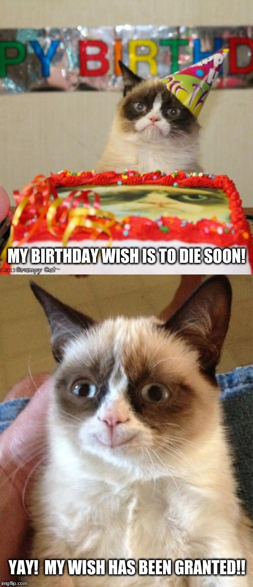 Grumpy Cat's Wish of Death Has Been Approved | MY BIRTHDAY WISH IS TO DIE SOON! YAY!  MY WISH HAS BEEN GRANTED!! | image tagged in memes,grumpy cat happy,grumpy cat birthday,grumpy cat,death,rip grumpy cat | made w/ Imgflip meme maker