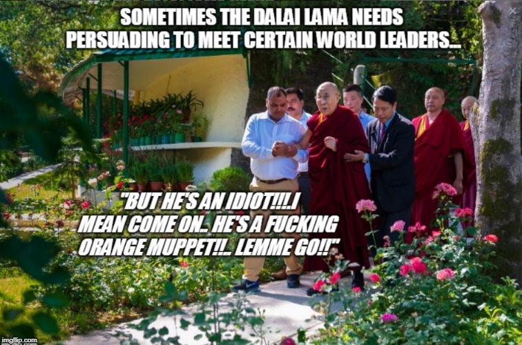 Reluctant Dalai lama | image tagged in trump,reluctant,dalai lama,persuasion,reactions | made w/ Imgflip meme maker