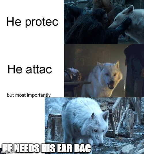 he protec | HE NEEDS HIS EAR BAC | image tagged in he protec | made w/ Imgflip meme maker