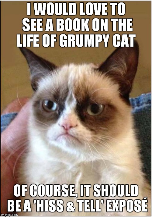 A Grumpy Hiss & Tell Book Please | I WOULD LOVE TO SEE A BOOK ON THE LIFE OF GRUMPY CAT; OF COURSE, IT SHOULD BE A 'HISS & TELL' EXPOSÉ | image tagged in cats,grumpy cat | made w/ Imgflip meme maker