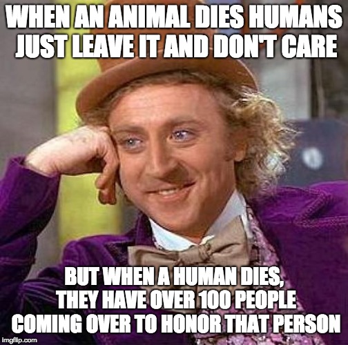 Is it fair? | WHEN AN ANIMAL DIES HUMANS JUST LEAVE IT AND DON'T CARE; BUT WHEN A HUMAN DIES, THEY HAVE OVER 100 PEOPLE COMING OVER TO HONOR THAT PERSON | image tagged in memes,creepy condescending wonka,animals,death | made w/ Imgflip meme maker