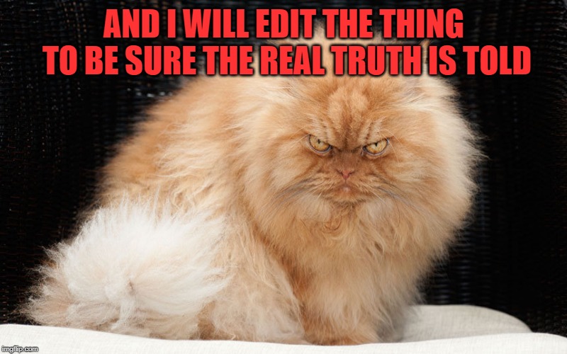Angry Cat | AND I WILL EDIT THE THING TO BE SURE THE REAL TRUTH IS TOLD | image tagged in angry cat | made w/ Imgflip meme maker