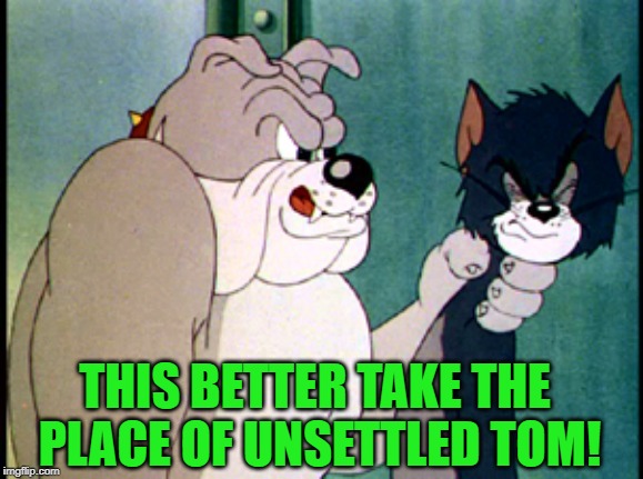 tom and jerry | THIS BETTER TAKE THE PLACE OF UNSETTLED TOM! | image tagged in tom and jerry | made w/ Imgflip meme maker