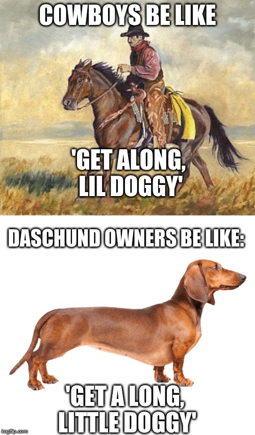 lil' puppers | COWBOYS BE LIKE; 'GET ALONG, LIL DOGGY'; DASCHUND OWNERS BE LIKE:; 'GET A LONG, LITTLE DOGGY' | image tagged in memes,cowboys,dogs,dachshunds | made w/ Imgflip meme maker