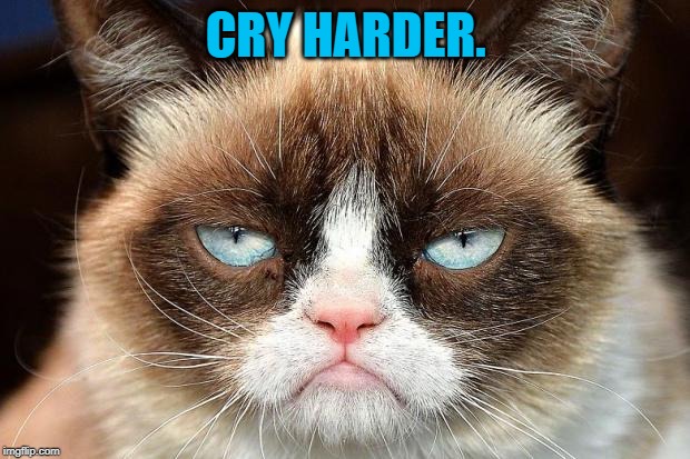 Grumpy Cat Not Amused Meme | CRY HARDER. | image tagged in memes,grumpy cat not amused,grumpy cat | made w/ Imgflip meme maker