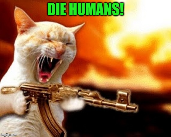 machine gun cat | DIE HUMANS! | image tagged in machine gun cat | made w/ Imgflip meme maker