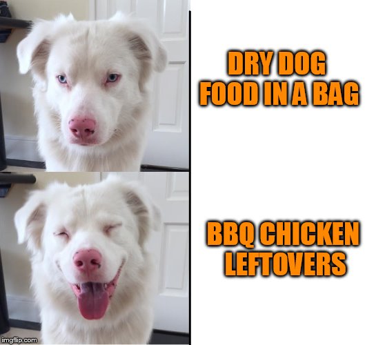 Another new ArfArf template! | DRY DOG FOOD IN A BAG; BBQ CHICKEN LEFTOVERS | image tagged in expanding dog,arfarf | made w/ Imgflip meme maker