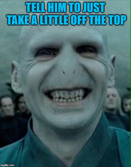 Voldemort Grin | TELL HIM TO JUST TAKE A LITTLE OFF THE TOP | image tagged in voldemort grin | made w/ Imgflip meme maker
