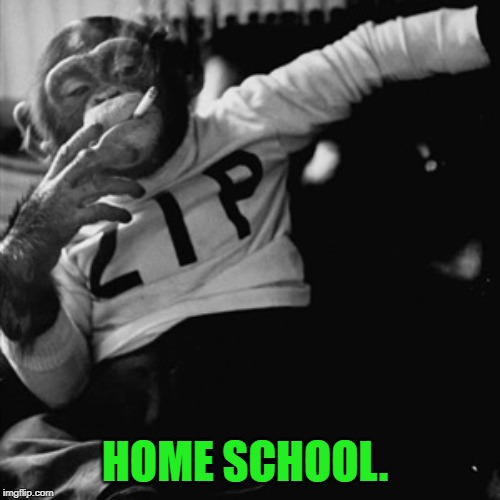 Smoking monkey | HOME SCHOOL. | image tagged in smoking monkey | made w/ Imgflip meme maker