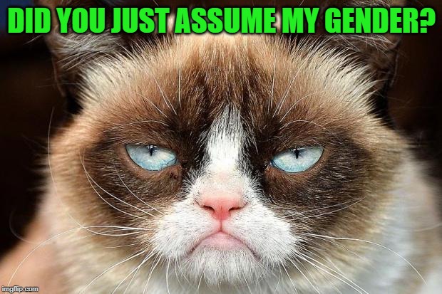 Grumpy Cat Not Amused Meme | DID YOU JUST ASSUME MY GENDER? | image tagged in memes,grumpy cat not amused,grumpy cat | made w/ Imgflip meme maker