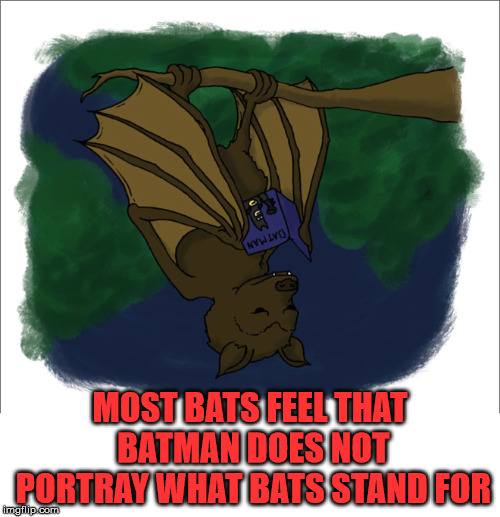 Bats do not care for batman | MOST BATS FEEL THAT BATMAN DOES NOT PORTRAY WHAT BATS STAND FOR | image tagged in batman,superheroes | made w/ Imgflip meme maker