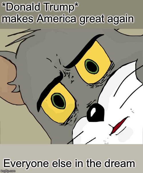 Unsettled Tom | *Donald Trump* makes America great again; Everyone else in the dream | image tagged in memes,unsettled tom | made w/ Imgflip meme maker