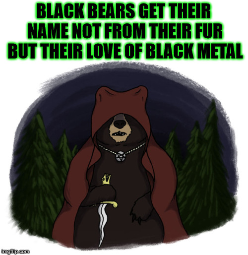 Black metal | BLACK BEARS GET THEIR NAME NOT FROM THEIR FUR BUT THEIR LOVE OF BLACK METAL | image tagged in black metal,metal,funny | made w/ Imgflip meme maker