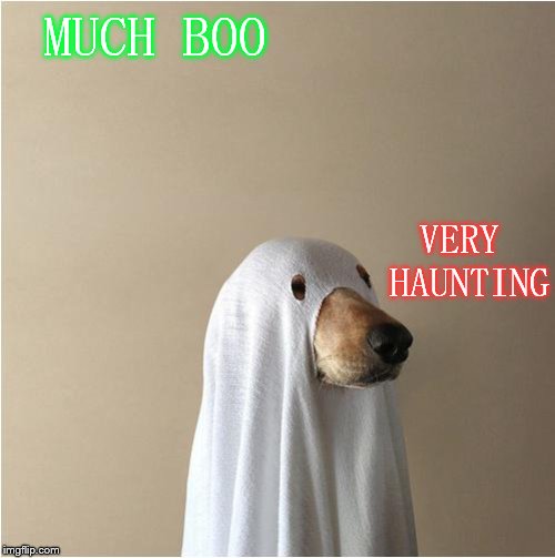 Ghost Doge | MUCH BOO; VERY HAUNTING | image tagged in ghost doge | made w/ Imgflip meme maker