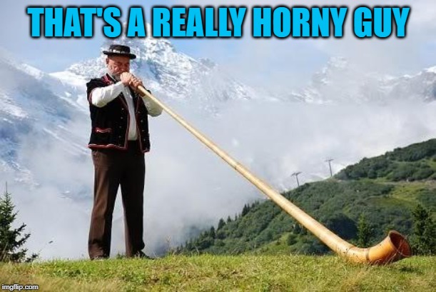 Ricola Horn | THAT'S A REALLY HORNY GUY | image tagged in ricola horn | made w/ Imgflip meme maker