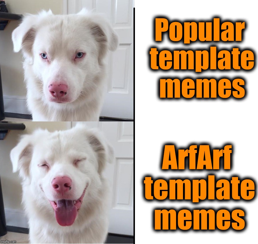 Expanding dog | Popular template memes ArfArf template memes | image tagged in expanding dog | made w/ Imgflip meme maker