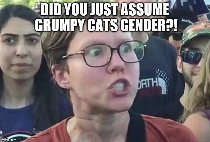 Triggered Liberal | DID YOU JUST ASSUME GRUMPY CATS GENDER?! | image tagged in triggered liberal | made w/ Imgflip meme maker
