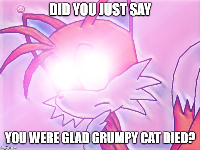 Glowing Eyes Tails | DID YOU JUST SAY; YOU WERE GLAD GRUMPY CAT DIED? | image tagged in glowing eyes tails | made w/ Imgflip meme maker
