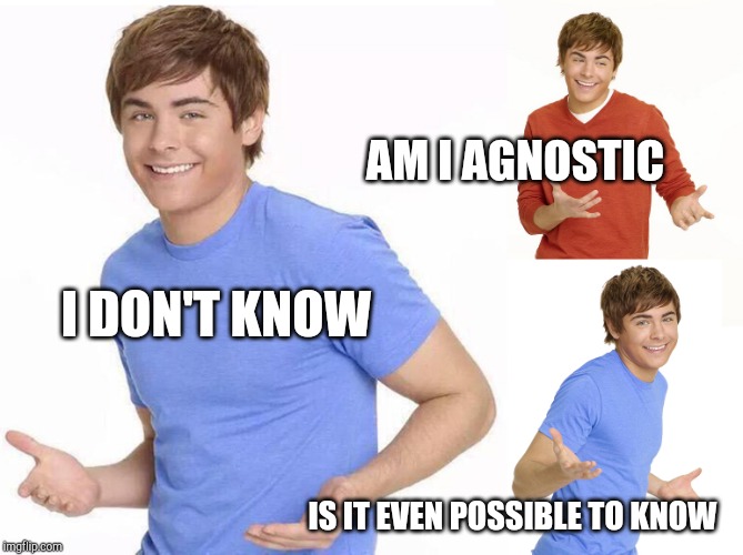 Zac Efron | AM I AGNOSTIC; I DON'T KNOW; IS IT EVEN POSSIBLE TO KNOW | image tagged in zac efron | made w/ Imgflip meme maker