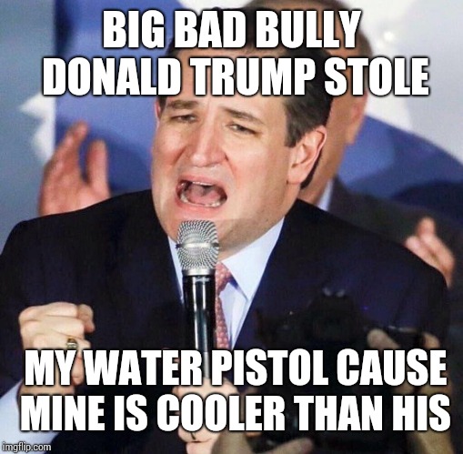 Ted Cruz Singing | BIG BAD BULLY DONALD TRUMP STOLE; MY WATER PISTOL CAUSE MINE IS COOLER THAN HIS | image tagged in ted cruz singing | made w/ Imgflip meme maker