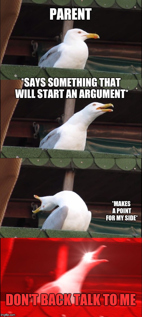 Inhaling Seagull | PARENT; *SAYS SOMETHING THAT WILL START AN ARGUMENT*; *MAKES A POINT FOR MY SIDE*; DON'T BACK TALK TO ME | image tagged in memes,inhaling seagull | made w/ Imgflip meme maker