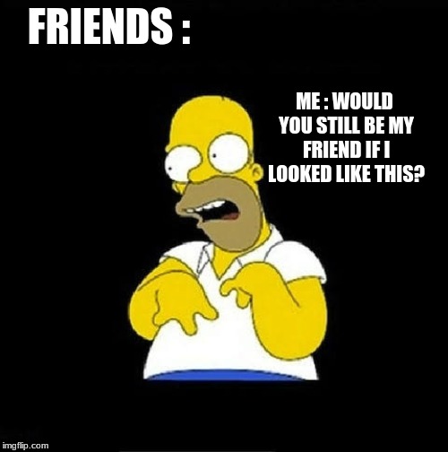 Meme retard homer | FRIENDS :; ME : WOULD YOU STILL BE MY FRIEND IF I LOOKED LIKE THIS? | image tagged in meme retard homer | made w/ Imgflip meme maker