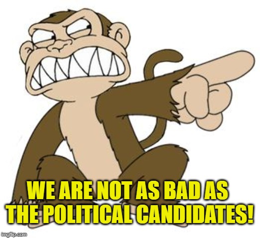 Angry Monkey Family Guy | WE ARE NOT AS BAD AS THE POLITICAL CANDIDATES! | image tagged in angry monkey family guy | made w/ Imgflip meme maker