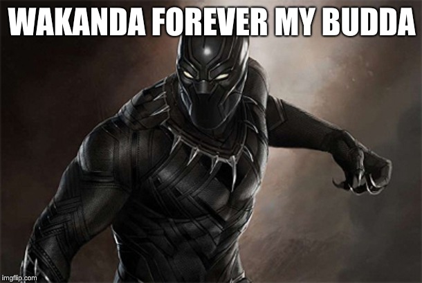 WAKANDA FOREVER MY BUDDA | image tagged in black panther | made w/ Imgflip meme maker