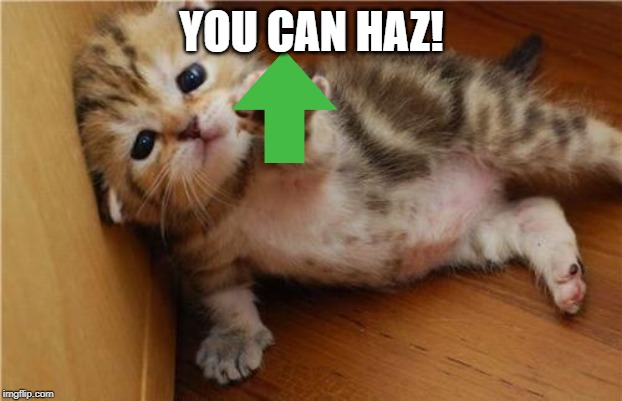 Help Me Kitten | YOU CAN HAZ! | image tagged in help me kitten | made w/ Imgflip meme maker