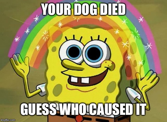 Imagination Spongebob Meme | YOUR DOG DIED; GUESS WHO CAUSED IT | image tagged in memes,imagination spongebob | made w/ Imgflip meme maker