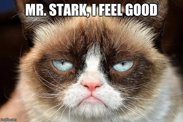 Grumpy Cat Not Amused Meme | MR. STARK, I FEEL GOOD | image tagged in memes,grumpy cat not amused,grumpy cat | made w/ Imgflip meme maker