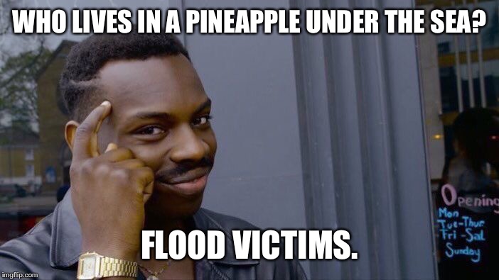 Roll Safe Think About It | WHO LIVES IN A PINEAPPLE UNDER THE SEA? FLOOD VICTIMS. | image tagged in memes,roll safe think about it | made w/ Imgflip meme maker