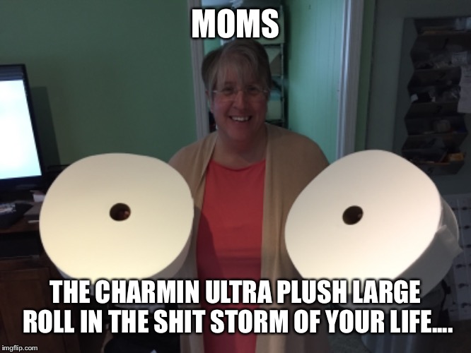Mom | MOMS; THE CHARMIN ULTRA PLUSH LARGE ROLL IN THE SHIT STORM OF YOUR LIFE.... | image tagged in funny memes | made w/ Imgflip meme maker