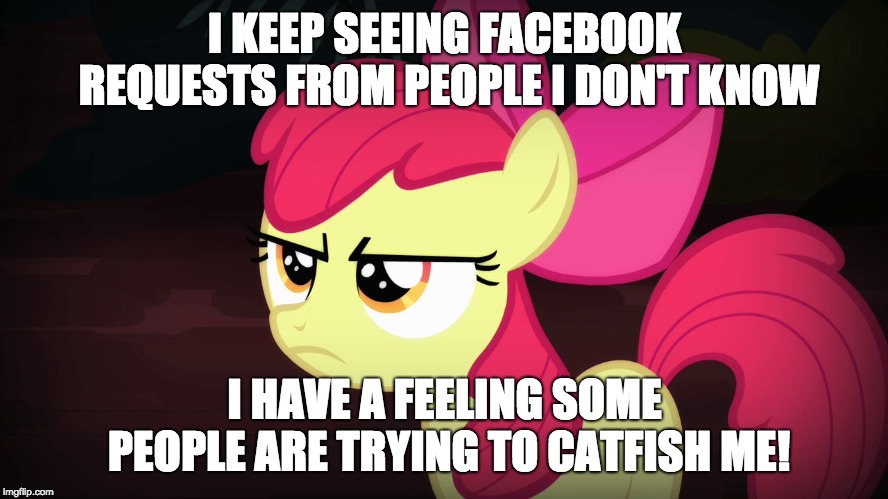 ...or maybe something worse... | I KEEP SEEING FACEBOOK REQUESTS FROM PEOPLE I DON'T KNOW; I HAVE A FEELING SOME PEOPLE ARE TRYING TO CATFISH ME! | image tagged in angry applebloom,memes,catfish,facebook | made w/ Imgflip meme maker