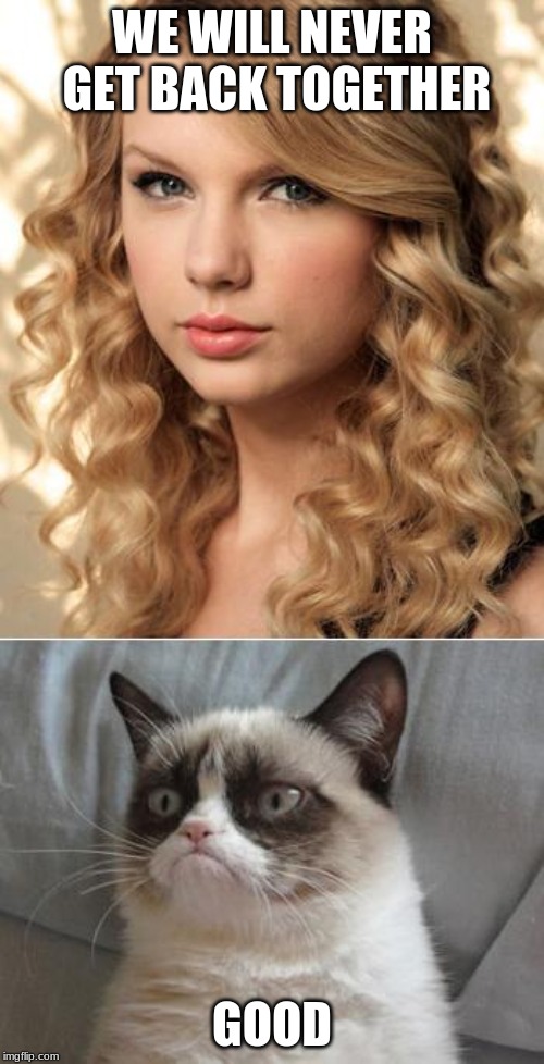 Grumpy Cat says "no" to Taylor Swift as NYC Global Welcome Ambas | WE WILL NEVER GET BACK TOGETHER; GOOD | image tagged in grumpy cat says no to taylor swift as nyc global welcome ambas | made w/ Imgflip meme maker