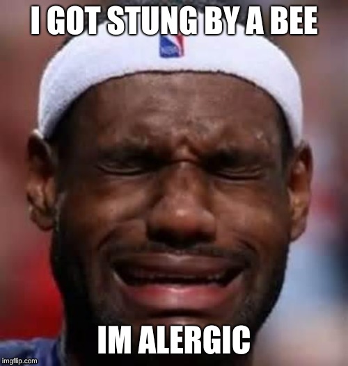 Lebron Crying | I GOT STUNG BY A BEE; IM ALERGIC | image tagged in lebron crying | made w/ Imgflip meme maker