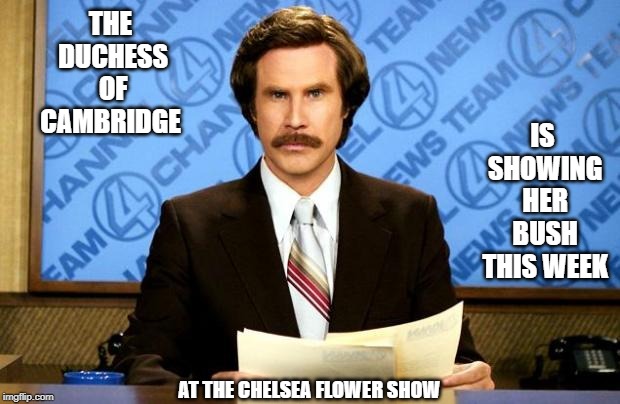 BREAKING NEWS | IS SHOWING HER BUSH THIS WEEK; THE DUCHESS OF CAMBRIDGE; AT THE CHELSEA FLOWER SHOW | image tagged in breaking news | made w/ Imgflip meme maker