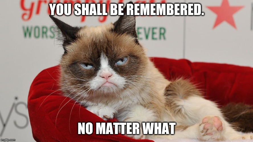 Grumpy cat | YOU SHALL BE REMEMBERED. NO MATTER WHAT | image tagged in grumpy cat | made w/ Imgflip meme maker