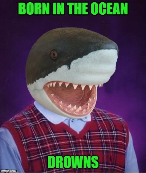 Bad Luck Shark... A DashHopes Template | BORN IN THE OCEAN; DROWNS | image tagged in bad luck shark,memes,bad luck brian,funny,sharks,animals | made w/ Imgflip meme maker