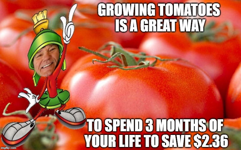 give me the tomato - Imgflip